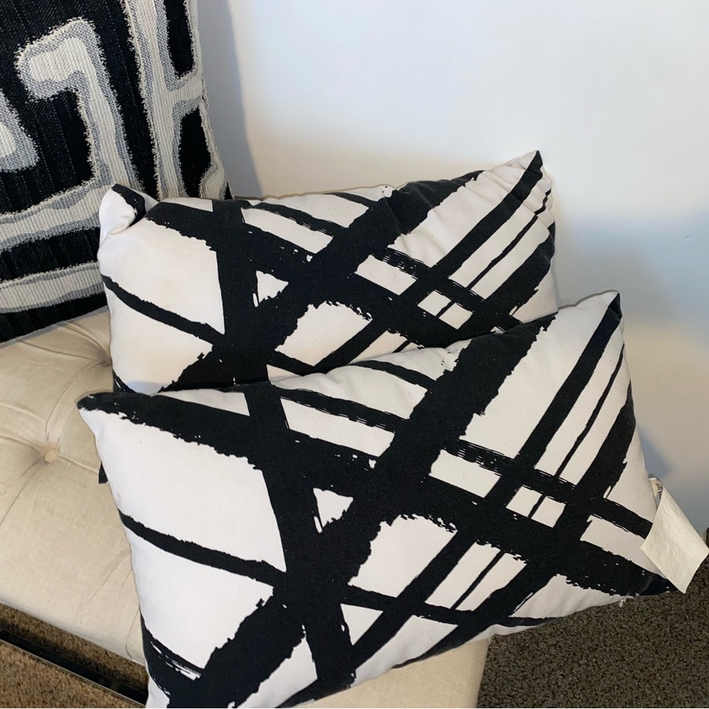 Black and white accent pillows